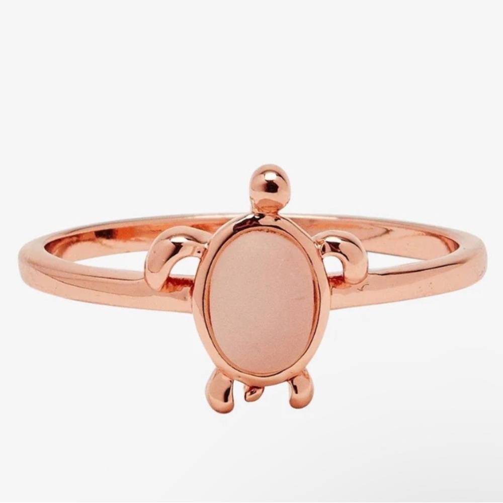 Sea turtle ring